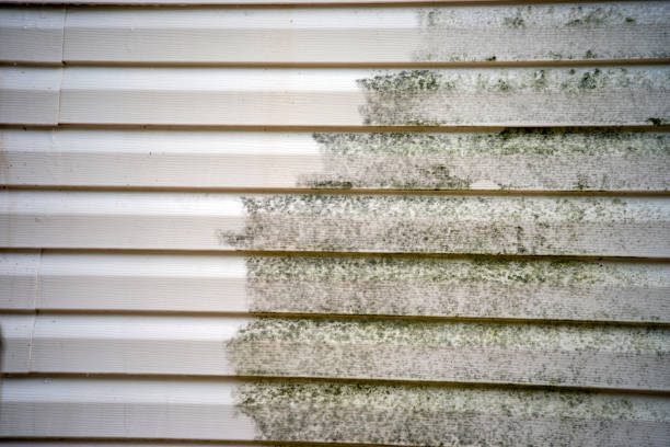 Best Historical Building Siding Restoration  in Bowling Green, MD